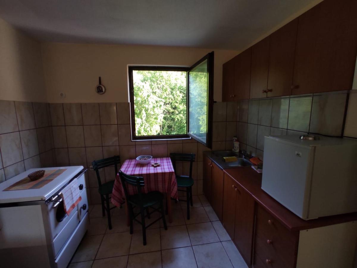 Apartmani Jana Bijelo Polje Bagian luar foto