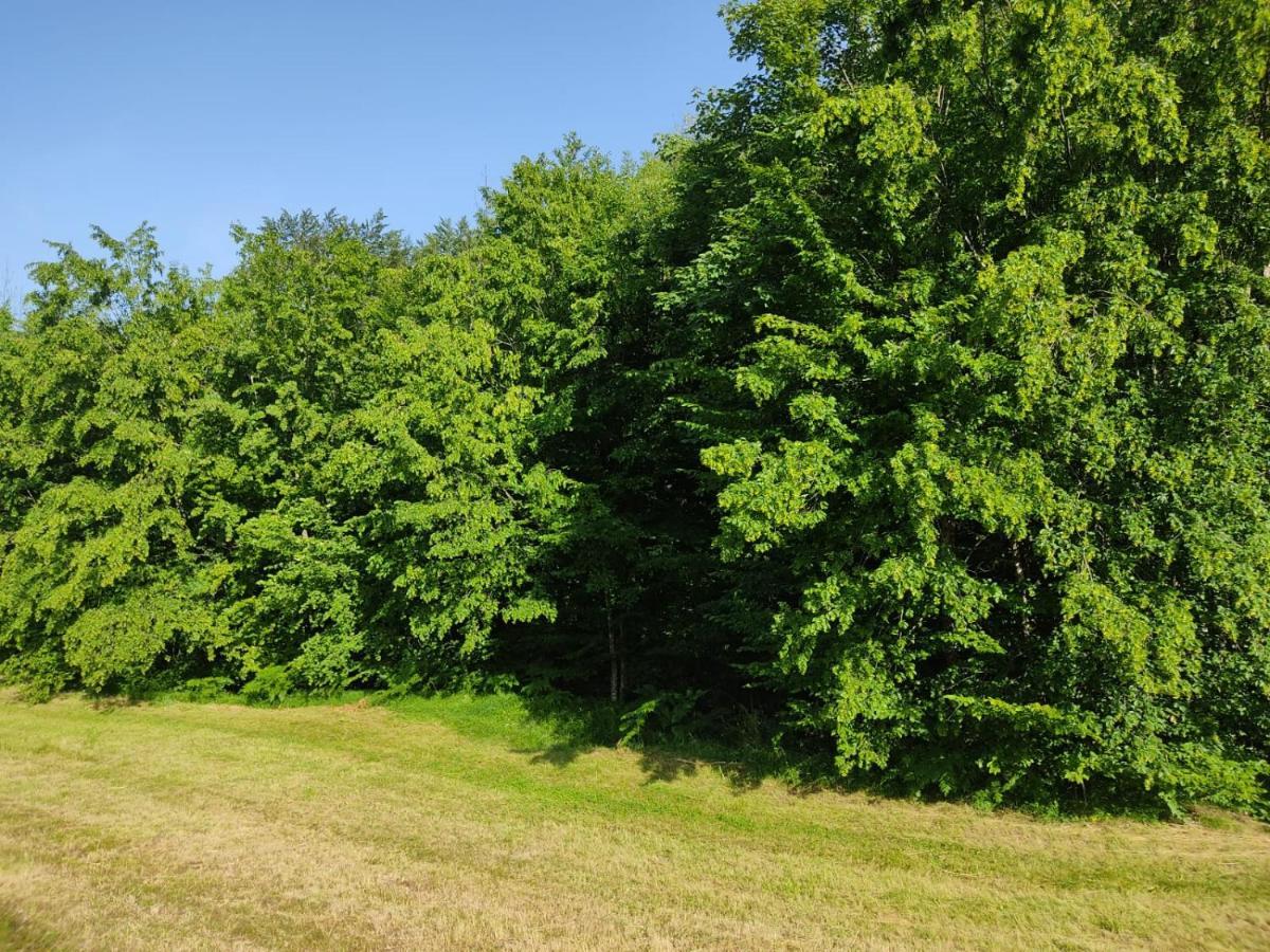 Apartmani Jana Bijelo Polje Bagian luar foto