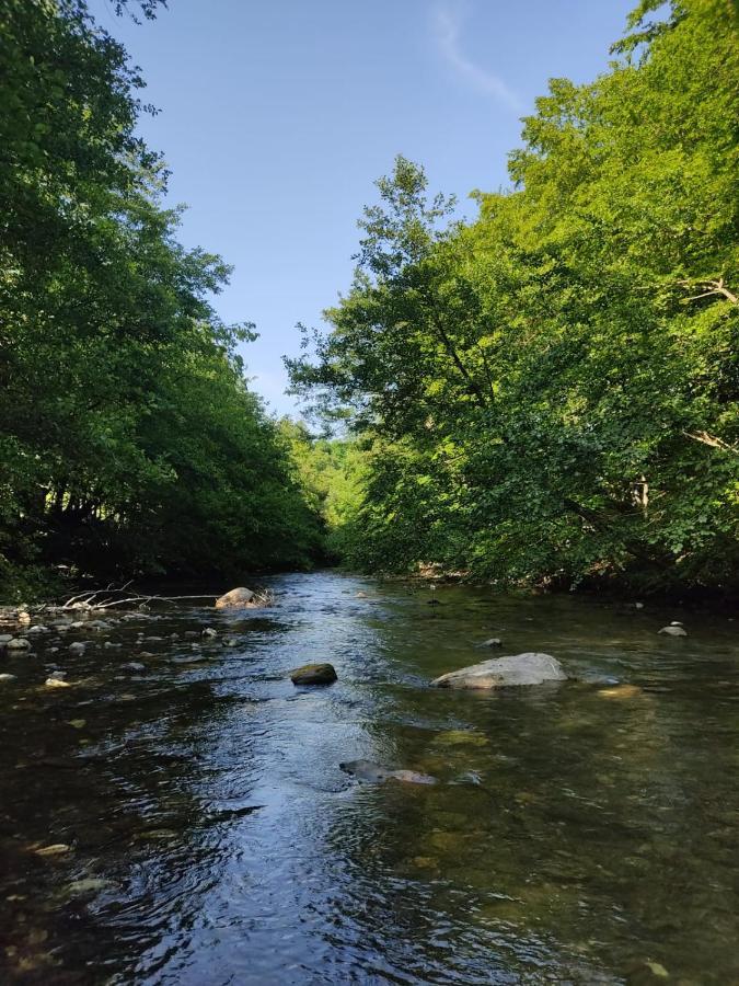 Apartmani Jana Bijelo Polje Bagian luar foto