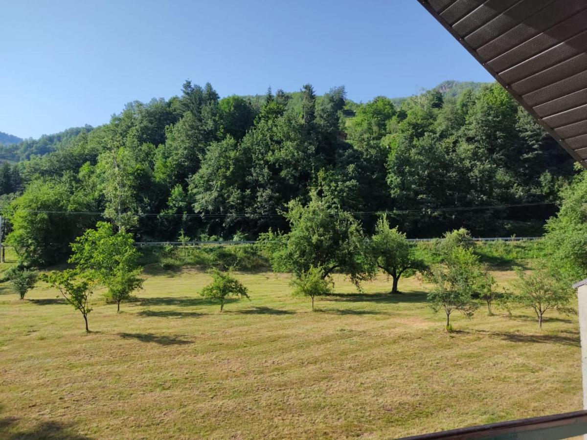 Apartmani Jana Bijelo Polje Bagian luar foto