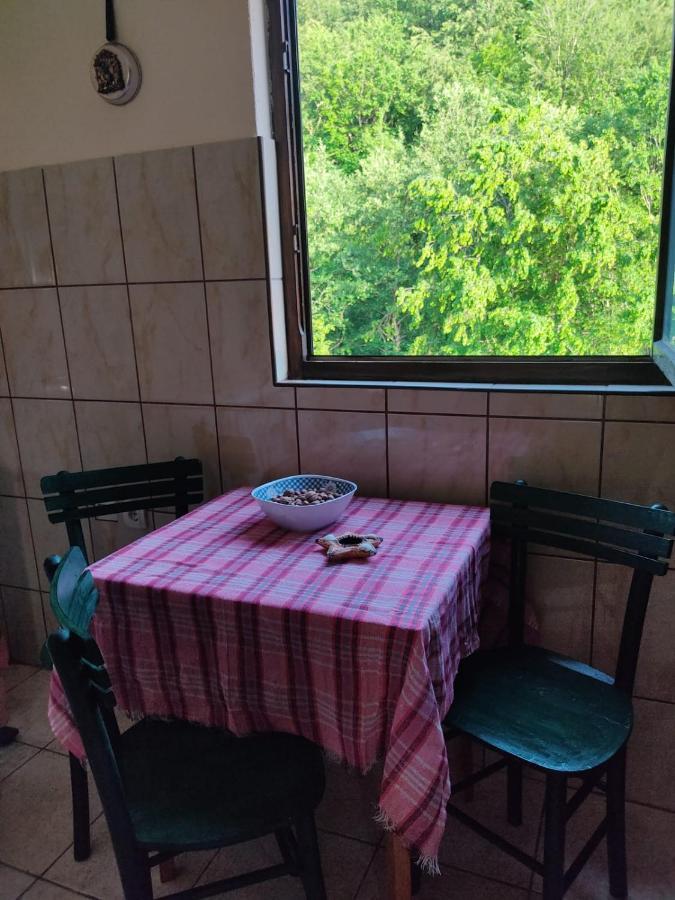 Apartmani Jana Bijelo Polje Bagian luar foto