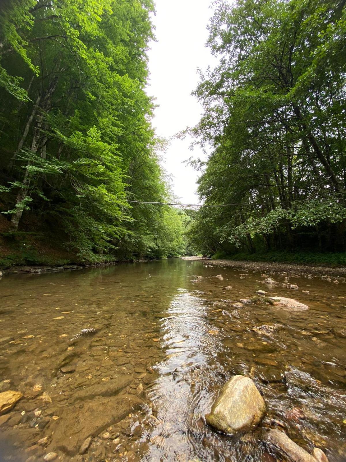 Apartmani Jana Bijelo Polje Bagian luar foto