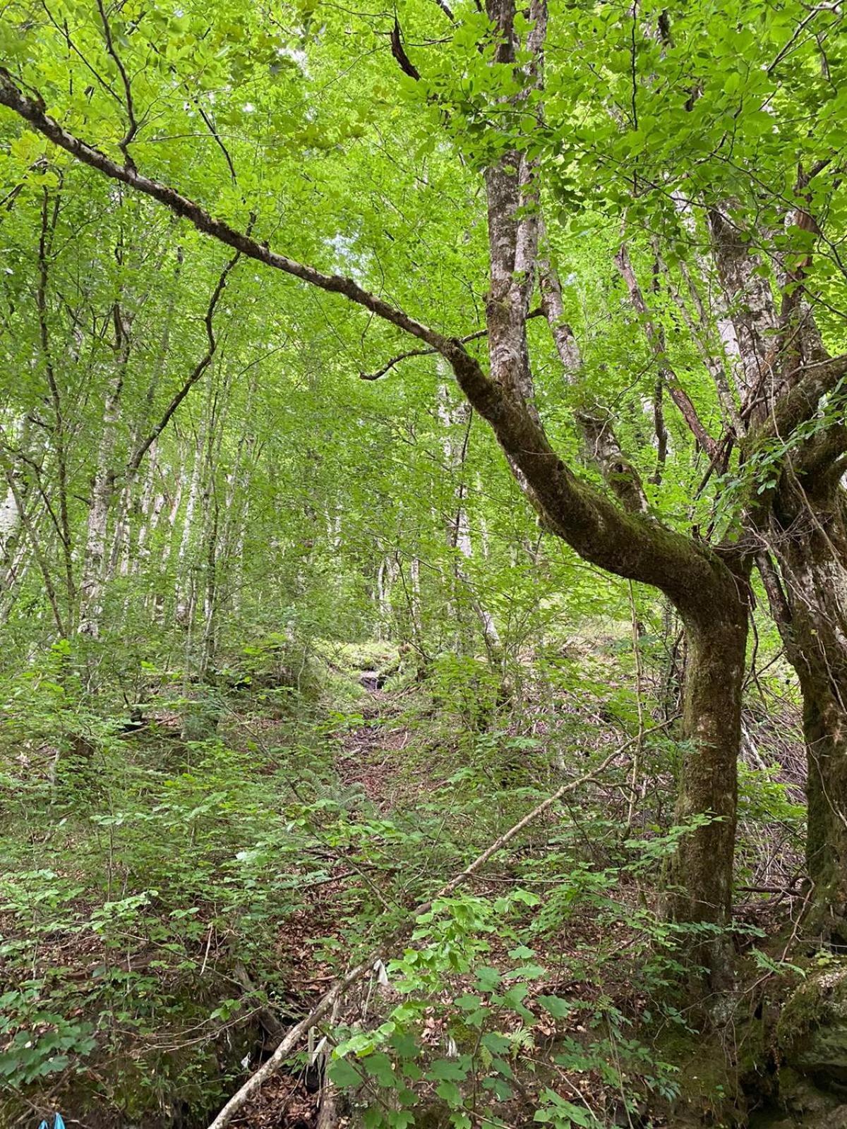 Apartmani Jana Bijelo Polje Bagian luar foto