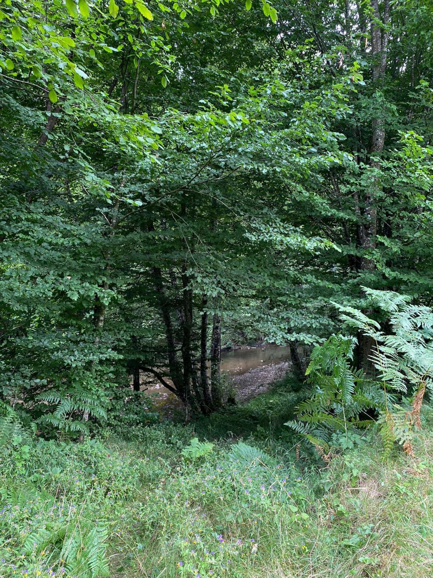 Apartmani Jana Bijelo Polje Bagian luar foto