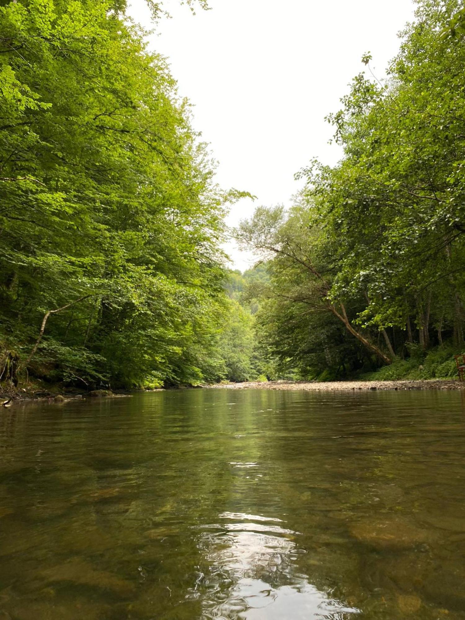 Apartmani Jana Bijelo Polje Bagian luar foto